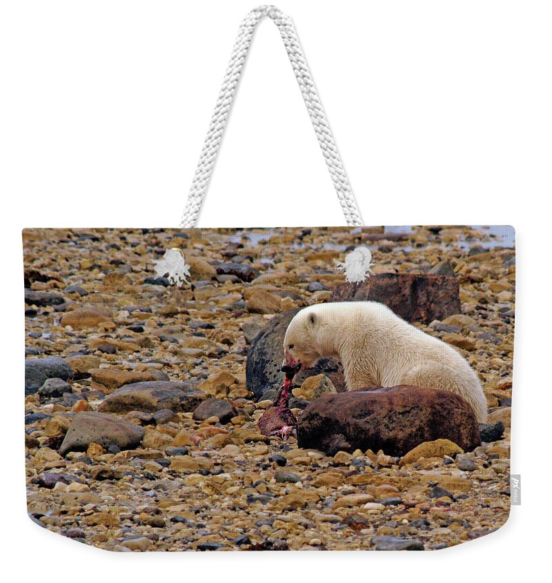 Polar Weekender Tote Bag featuring the photograph Polar Bear Eating Ringed Seal by Ted Keller