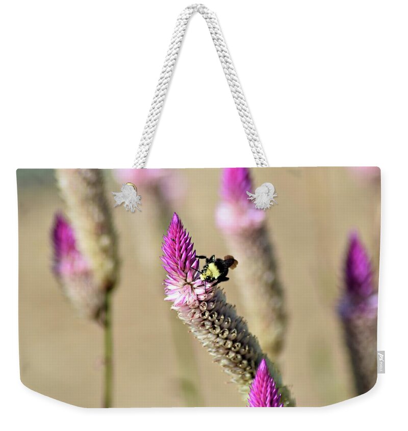 Bee Weekender Tote Bag featuring the photograph Pollination by Sandra Peery