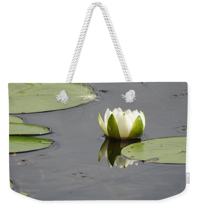 Water Lily Weekender Tote Bag featuring the photograph Pond Beauty by Betty-Anne McDonald