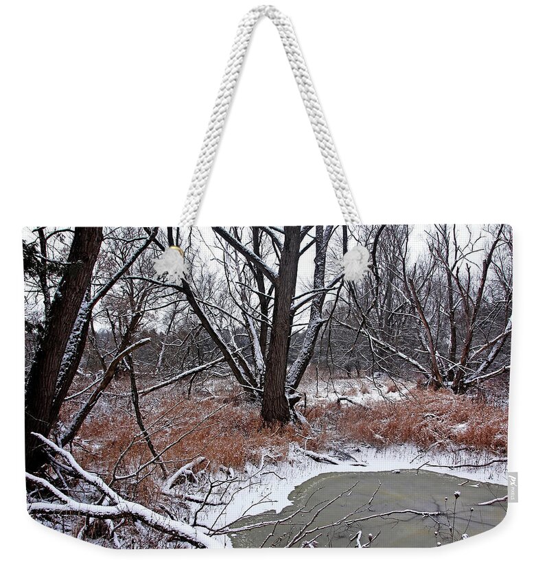 Winter Weekender Tote Bag featuring the photograph Pond In The Woods by Debbie Oppermann