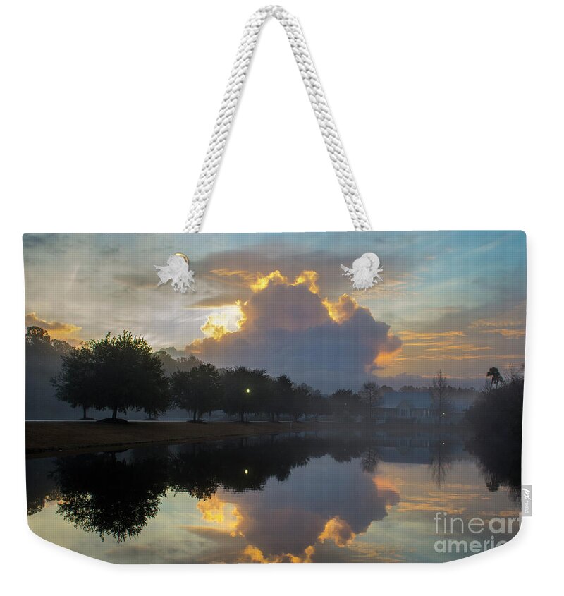 Fog Weekender Tote Bag featuring the photograph Pond Reflections in the Fog by Dale Powell