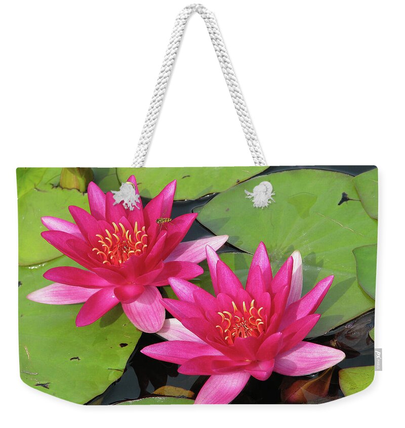 Pond Weekender Tote Bag featuring the photograph Pond Scene by Ted Keller