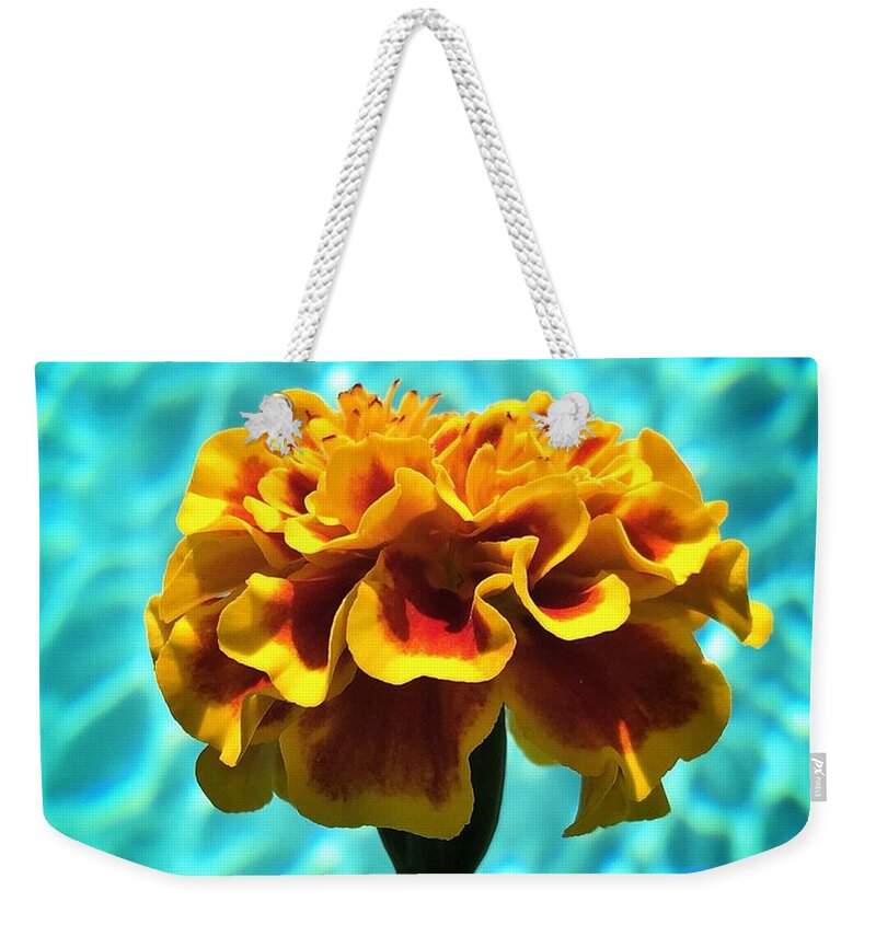Photography Weekender Tote Bag featuring the photograph Pool Side Beauty by Nathan Little