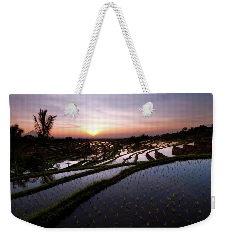 Rice Weekender Tote Bag featuring the photograph Pools of Rice by Andrew Kumler