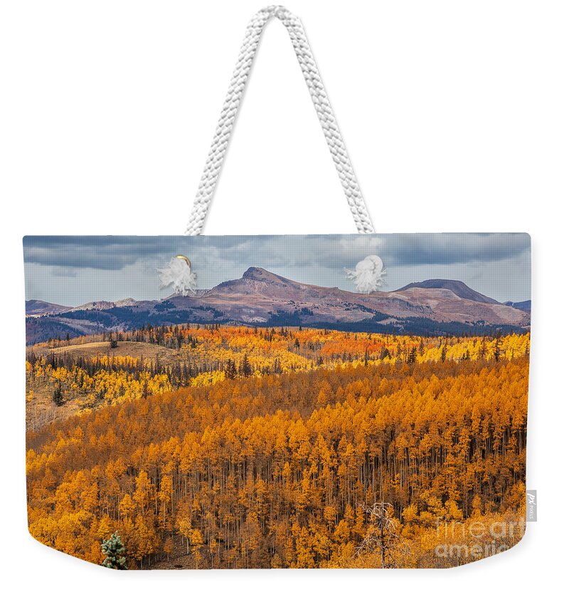 Autumn Colors Weekender Tote Bag featuring the photograph Poor Man's Gold by Jim Garrison