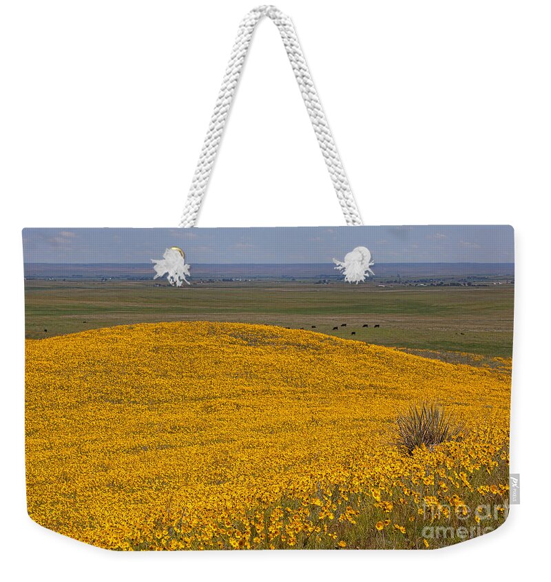 Yellow Wildflowers Weekender Tote Bag featuring the photograph Mound of Gold by Jim Garrison
