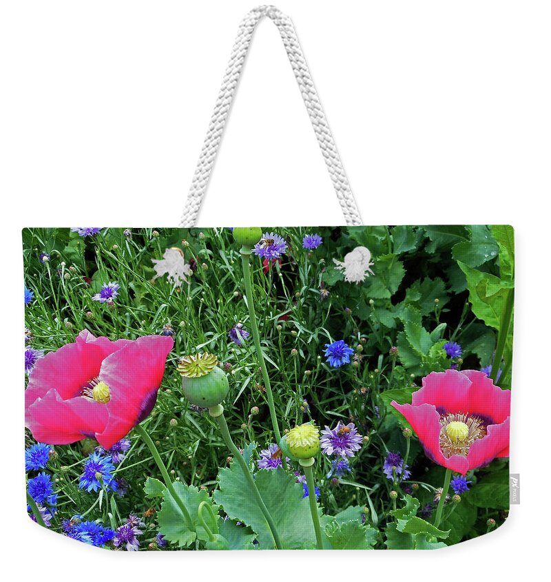 Monticello Weekender Tote Bag featuring the photograph Poppies 1 by Ron Kandt