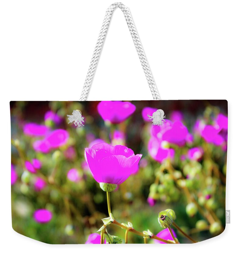Poppies Weekender Tote Bag featuring the photograph Poppies by Alison Frank
