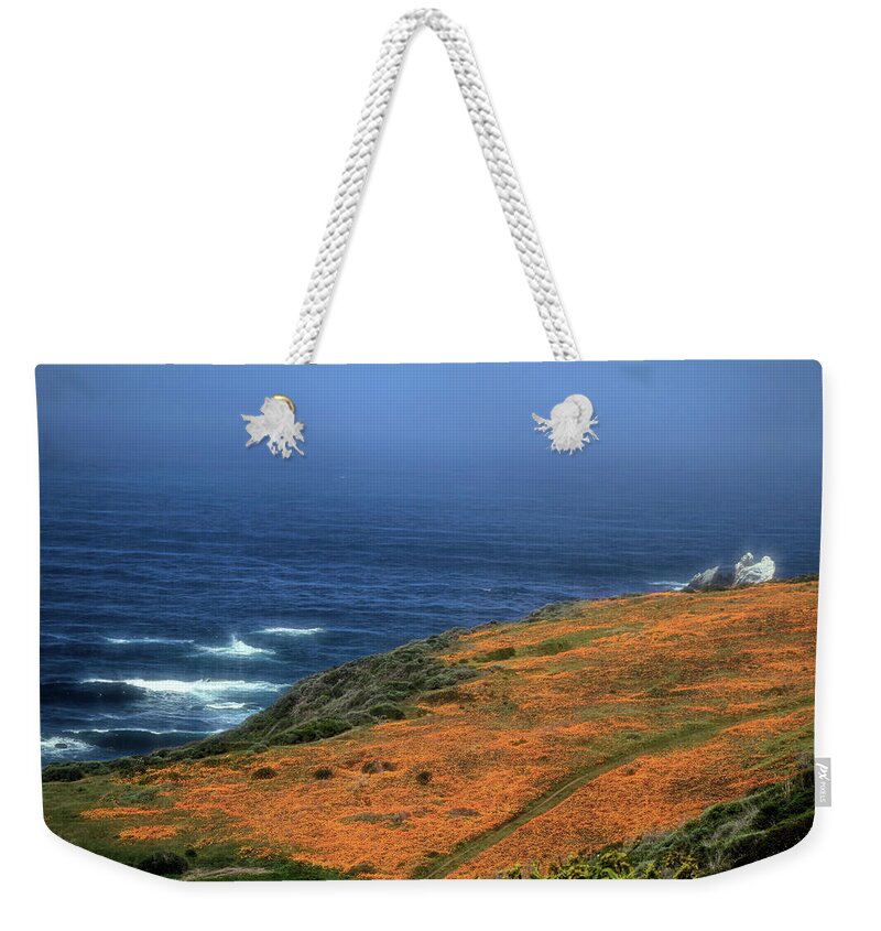 Pacific Coast Highway Weekender Tote Bag featuring the photograph Poppies Along the P C H by Donna Kennedy