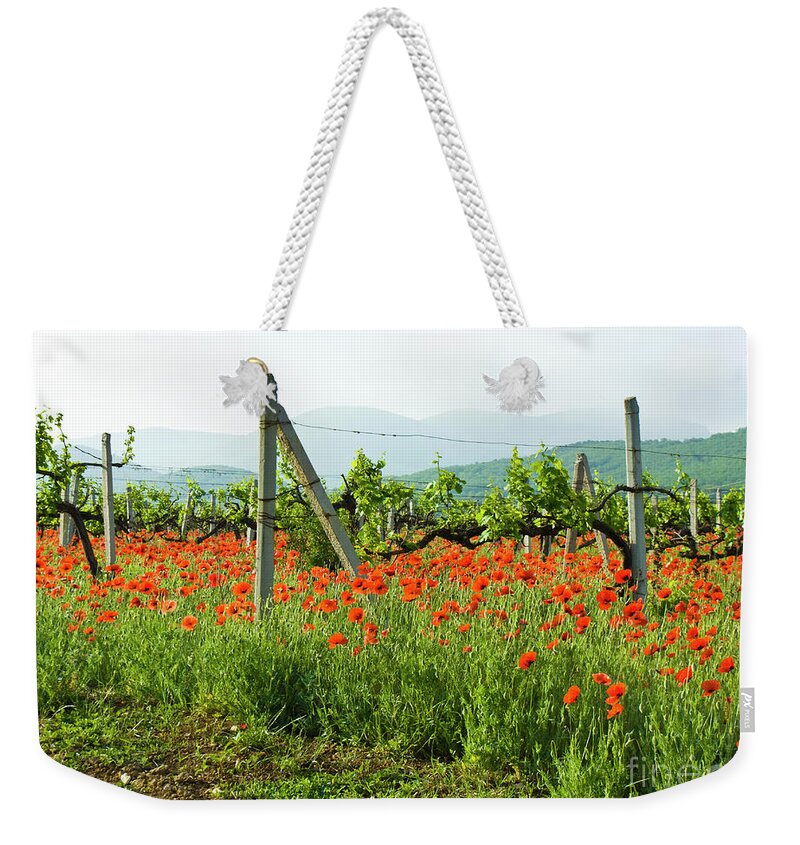 Landscape Weekender Tote Bag featuring the photograph Poppies, vineyards and hills by Irina Afonskaya