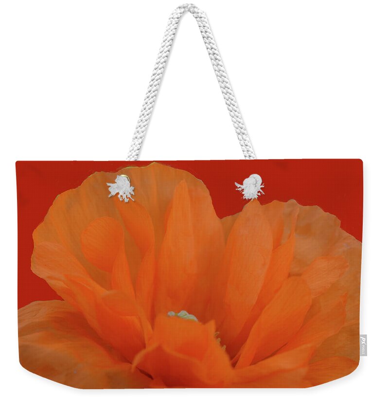 Flowers Weekender Tote Bag featuring the photograph Poppy Art # 4 by Jimmy Chuck Smith