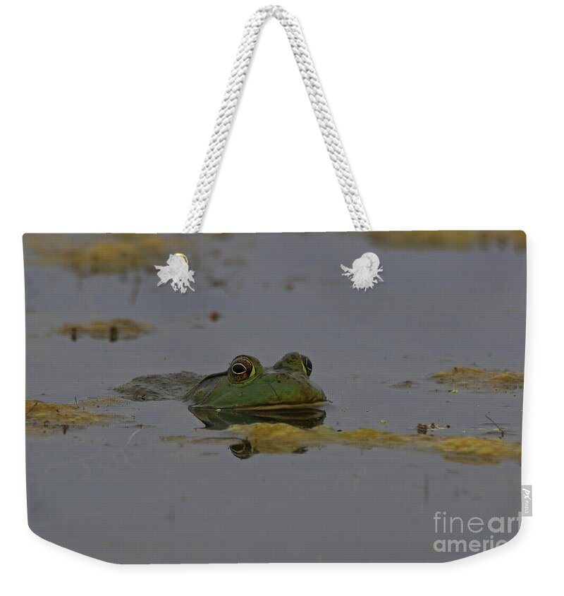 Bullfrog Weekender Tote Bag featuring the photograph Poppy Eyes by Craig Corwin