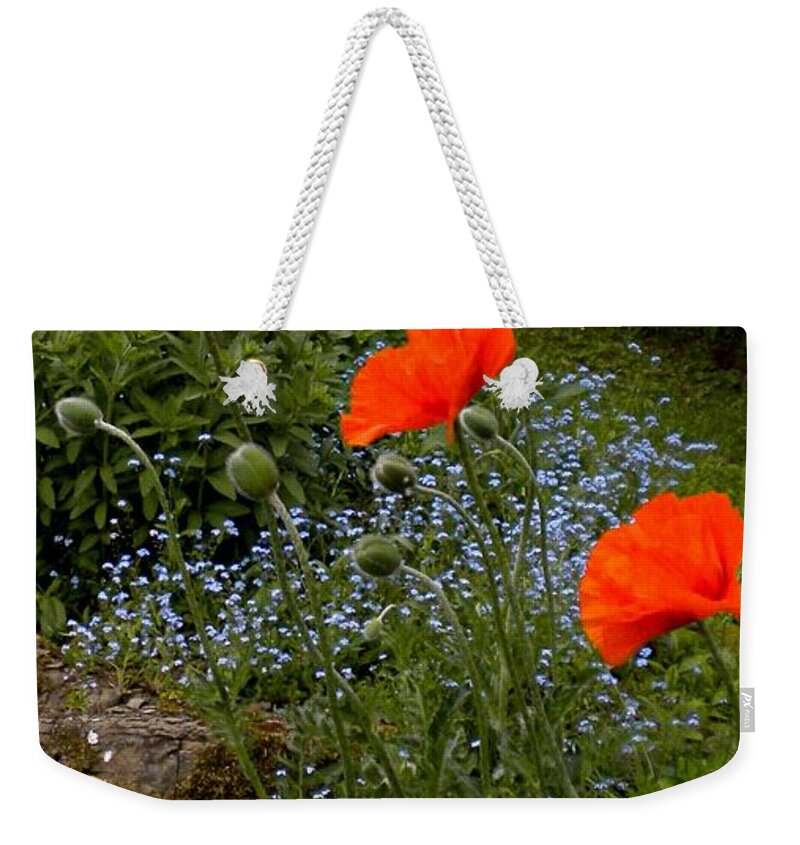 Poppy Weekender Tote Bag featuring the painting Poppy Foursome by Renate Wesley