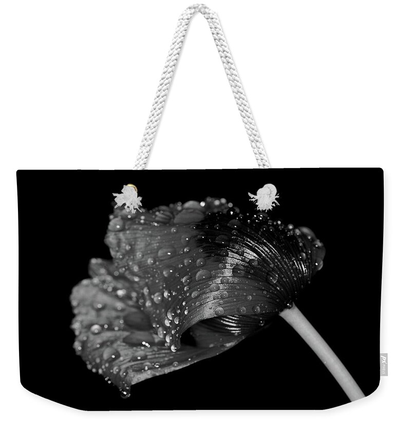 Poppy Flower Monochrome Weekender Tote Bag featuring the photograph Poppy by Ian Sanders