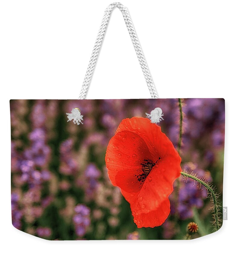 Poppy Weekender Tote Bag featuring the photograph Poppy in the Lavender Field by Plamen Petkov