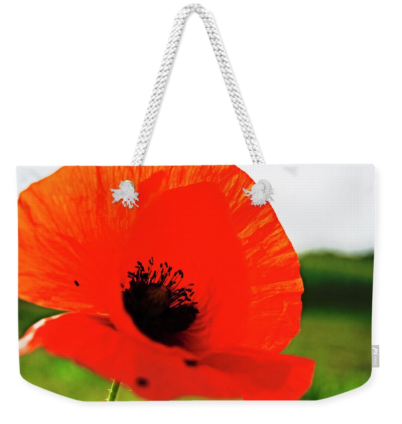 Poppy Weekender Tote Bag featuring the photograph Poppy It Is by Tinto Designs