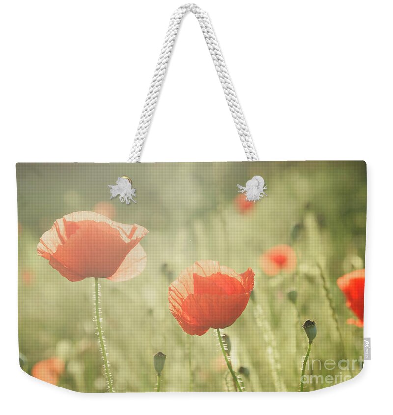 Poppy Weekender Tote Bag featuring the photograph Poppy by Jelena Jovanovic