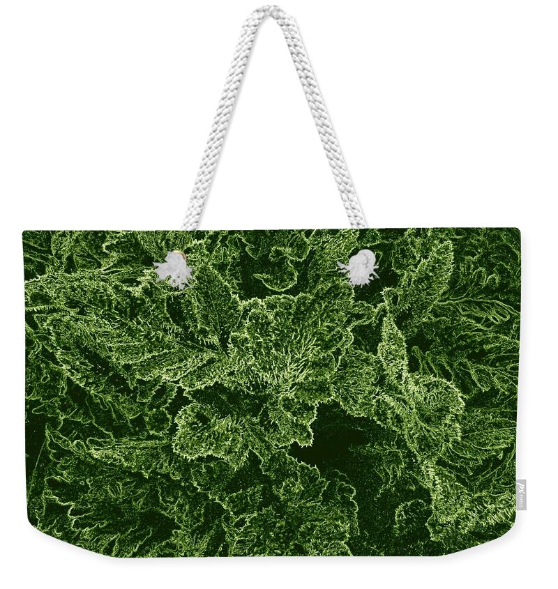 #poppyleaves Weekender Tote Bag featuring the digital art Poppy Leaves by Will Borden