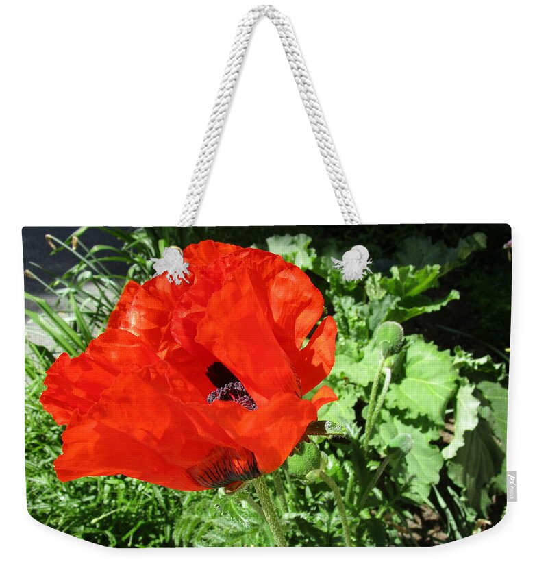 Poppy Weekender Tote Bag featuring the photograph Poppy Love by Rosita Larsson