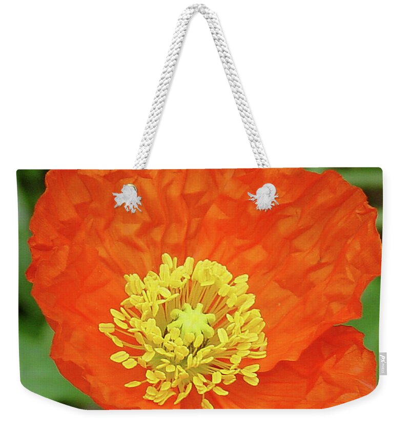 Center Weekender Tote Bag featuring the photograph Poppy by Shirley Heyn