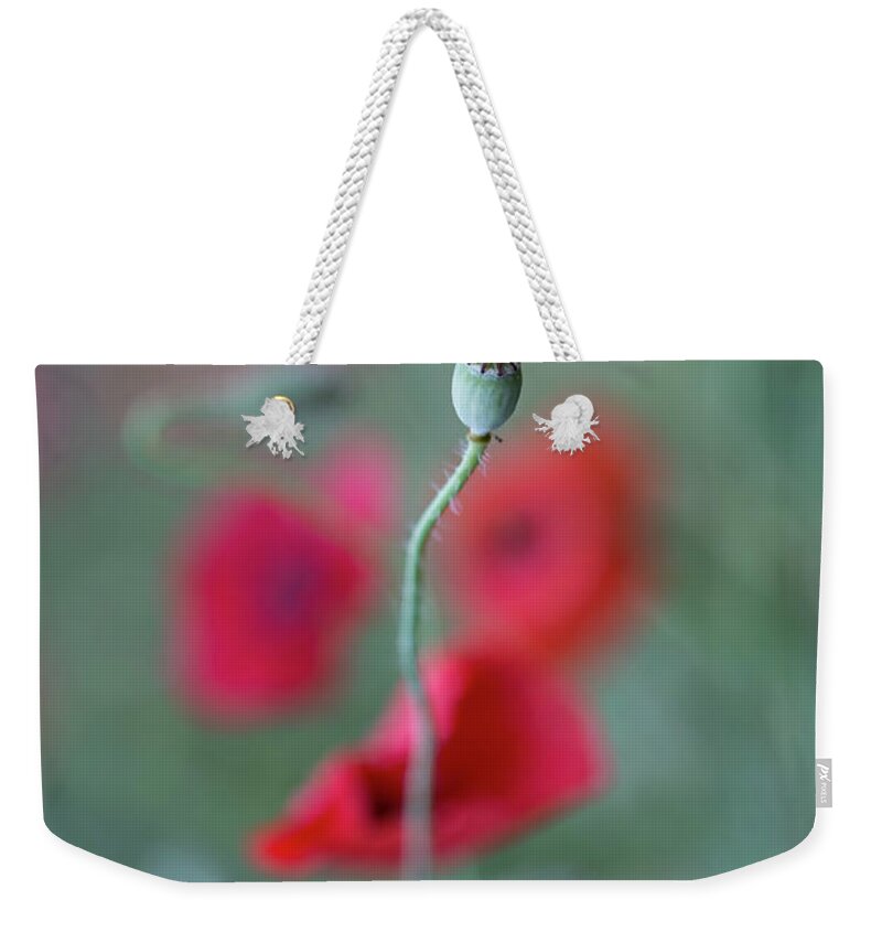 Bud Weekender Tote Bag featuring the photograph Poppy, the cycle by Jakub Sisak