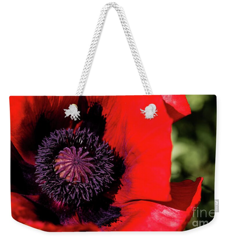 Poppy Weekender Tote Bag featuring the photograph Poppy by Torbjorn Swenelius