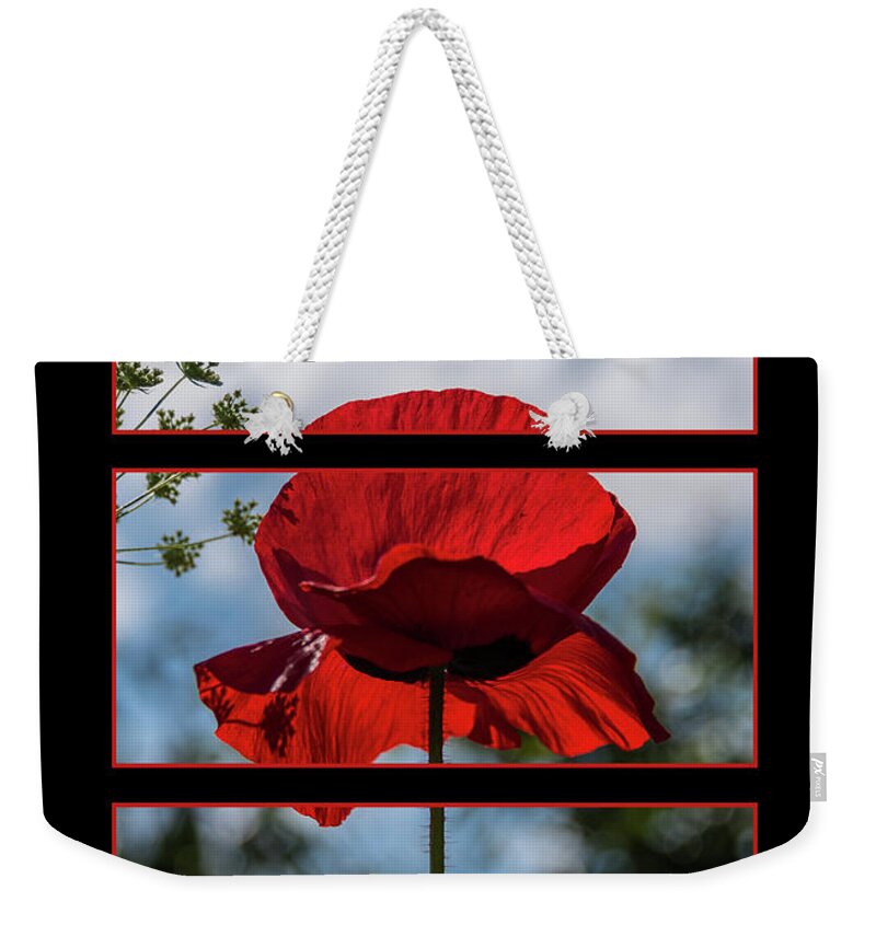  Martina Fagan Weekender Tote Bag featuring the photograph Poppy Triptych by Martina Fagan