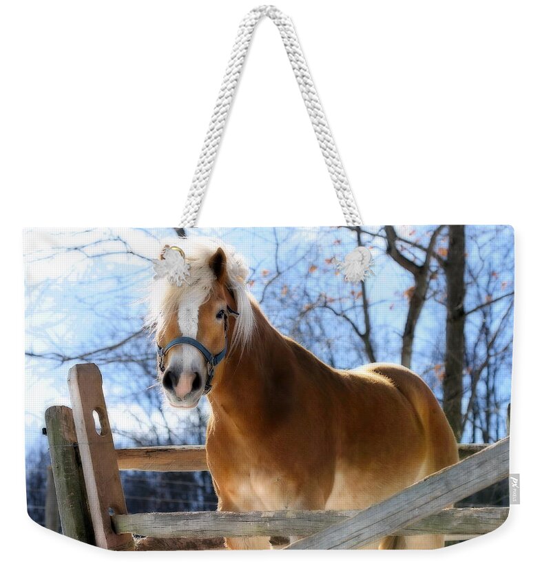 Horse Weekender Tote Bag featuring the photograph Portrait of a Haflinger - Niko in Winter by Angela Rath