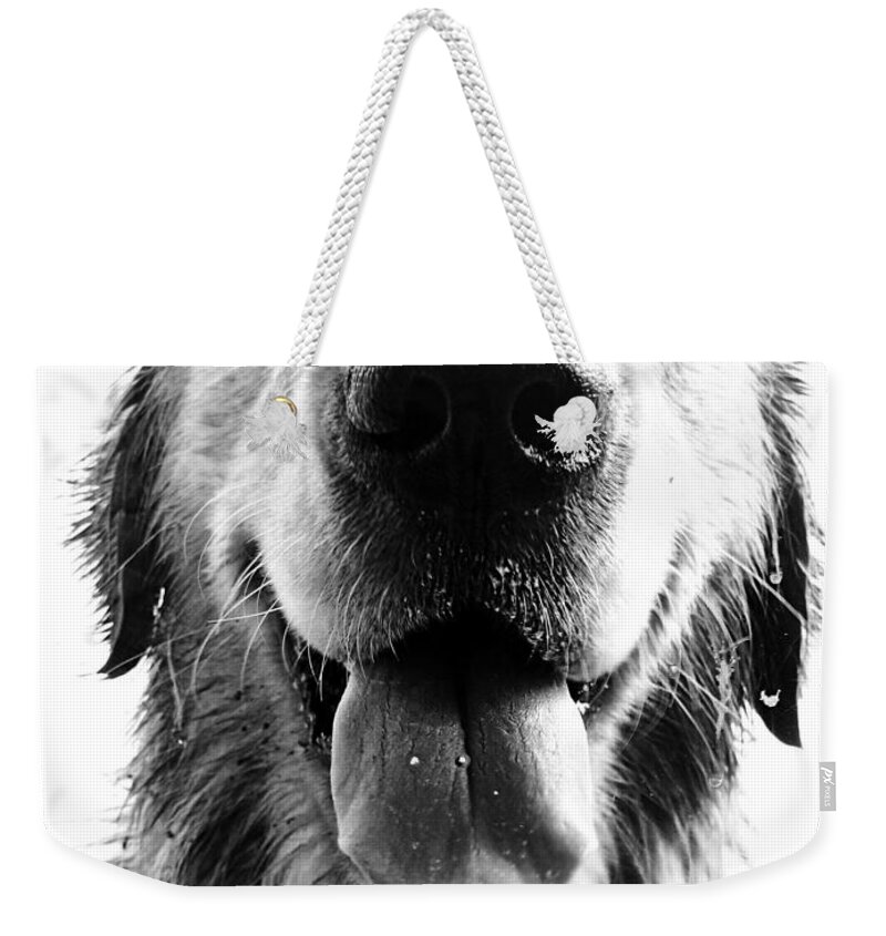 Argentina Weekender Tote Bag featuring the photograph Portrait of a Happy Dog by Osvaldo Hamer