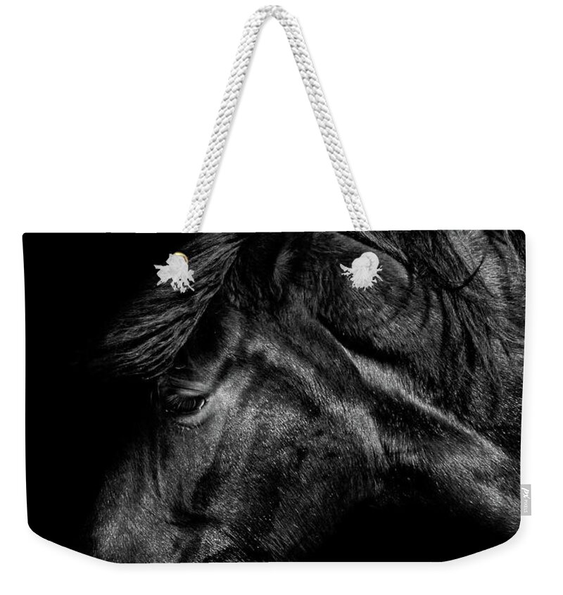 Horse Weekender Tote Bag featuring the photograph Portrait of a Horse by Martin Newman