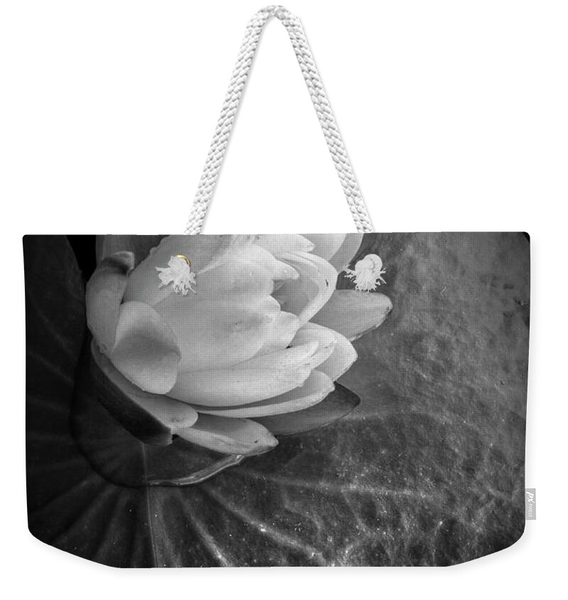 Everglades Weekender Tote Bag featuring the photograph Portrait of a Lily by Debra and Dave Vanderlaan