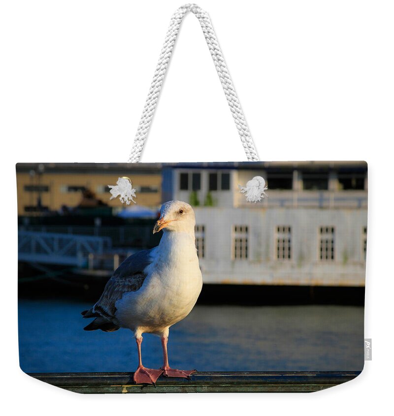 Bonnie Follett Weekender Tote Bag featuring the photograph Portrait of a Seagull by Bonnie Follett