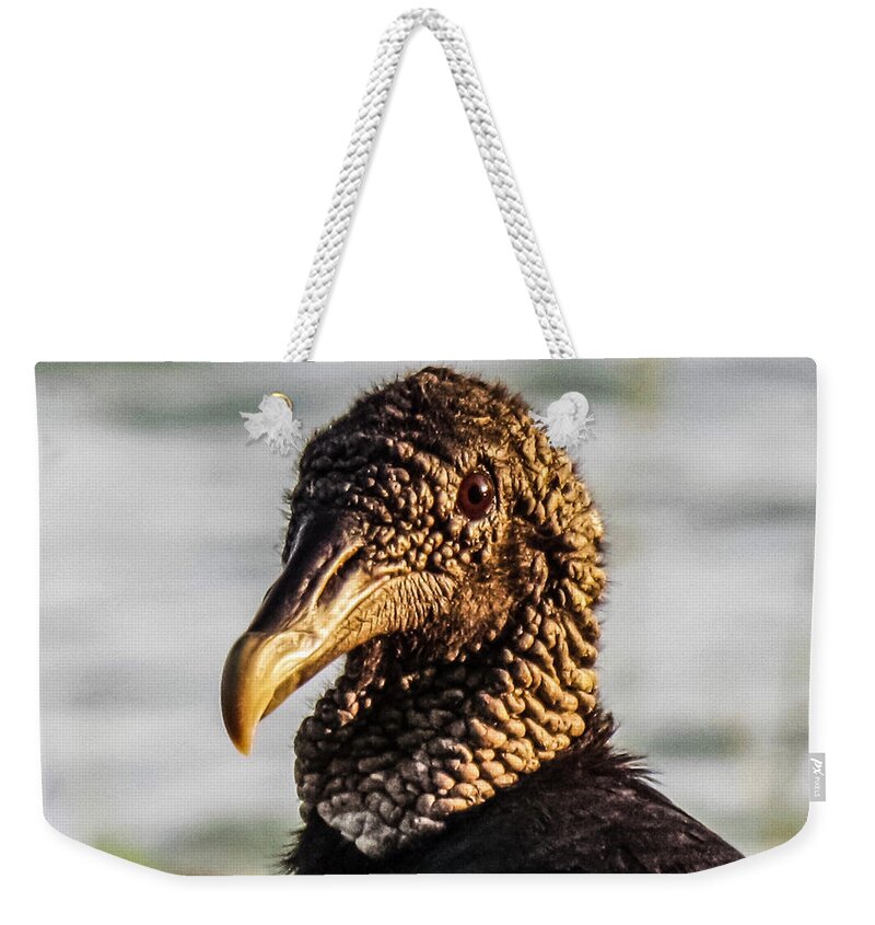 Animals Weekender Tote Bag featuring the photograph Portrait of a Vulture by Nathan Little