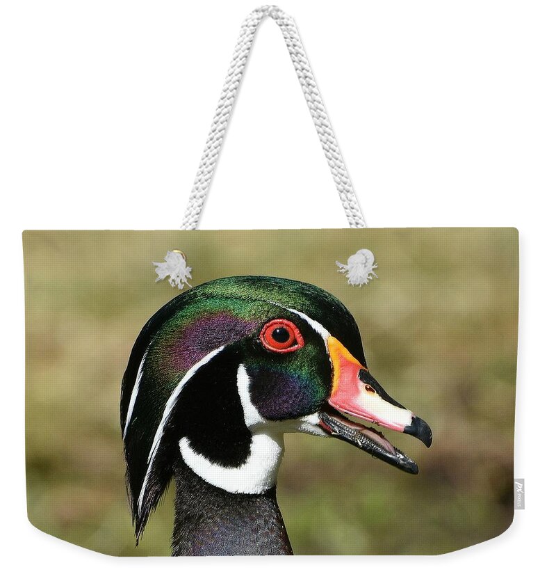 Wood Duck Weekender Tote Bag featuring the photograph Portrait Of A Wood Duck by Fraida Gutovich