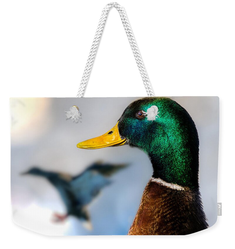 Duck Weekender Tote Bag featuring the photograph Portrait of Duck 2 by Bob Orsillo