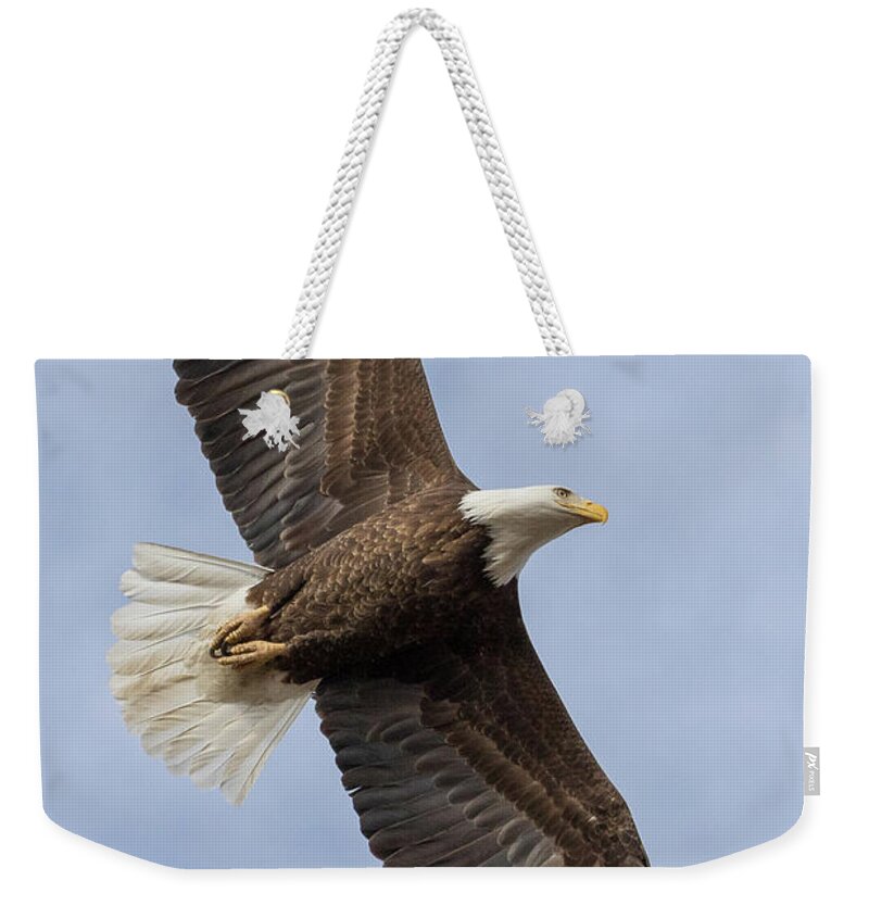Bald Eagle Weekender Tote Bag featuring the photograph Portrait of Freedom's Flight by Tony Hake