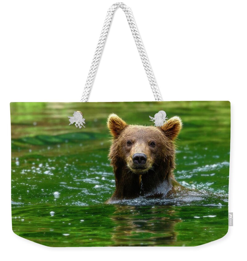 Pose Weekender Tote Bag featuring the photograph Pose by Chad Dutson