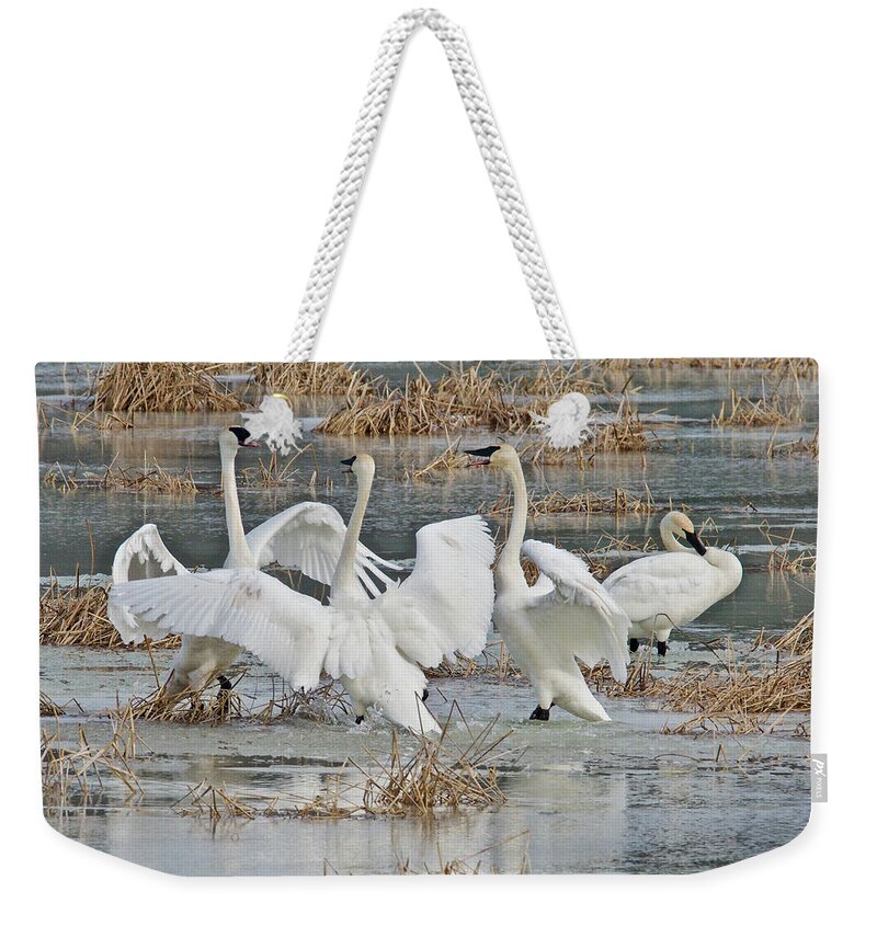 Snow Weekender Tote Bag featuring the photograph Posturing 8239 by Michael Peychich