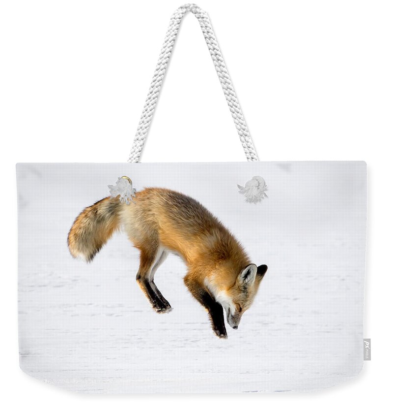 Red Fox Weekender Tote Bag featuring the photograph Pounce by Jack Bell