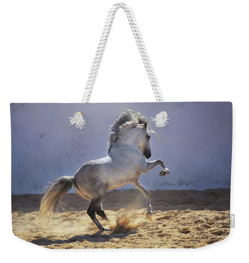 Russian Artists New Wave Weekender Tote Bag featuring the photograph Power in Motion by Ekaterina Druz