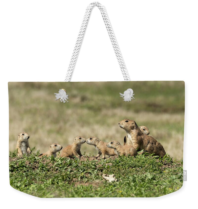 Nature Weekender Tote Bag featuring the photograph Prairie Dog Family 7270 by Donald Brown