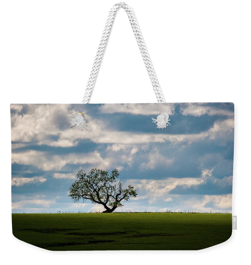 Lone Tree Weekender Tote Bag featuring the photograph Prairie Survivor by Jeff Phillippi