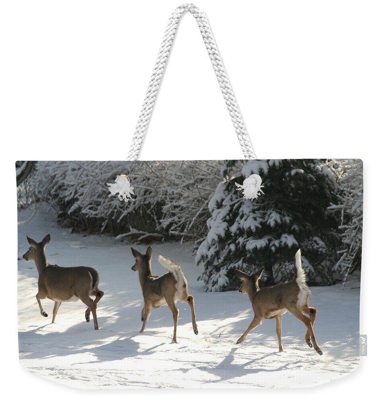 Deer Weekender Tote Bag featuring the photograph Prancing Through The Snow by Living Color Photography Lorraine Lynch