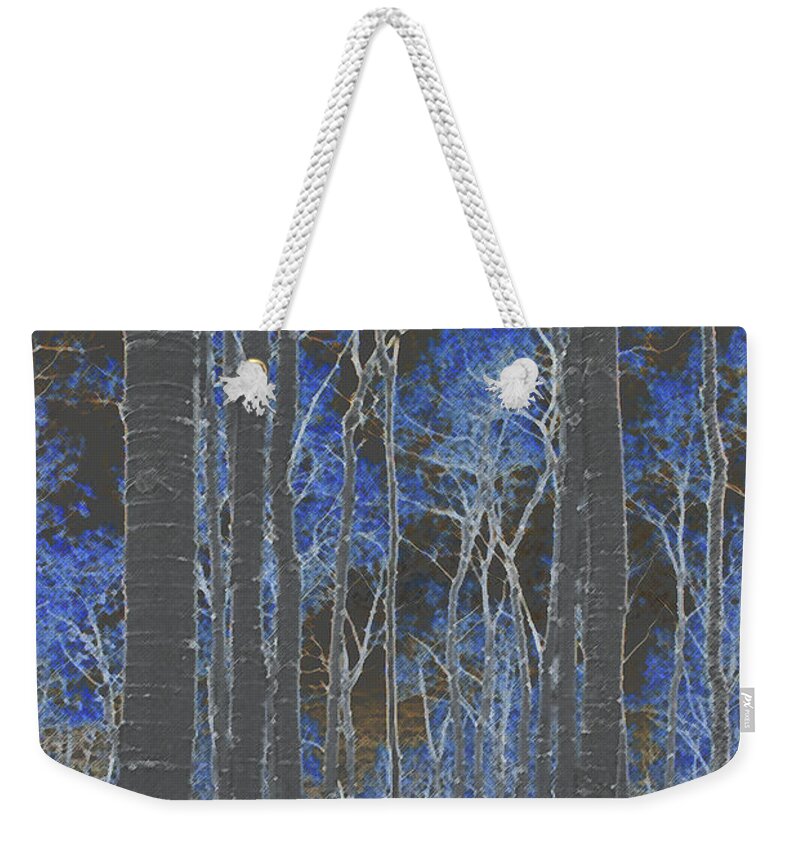 Aspens Weekender Tote Bag featuring the photograph Prelude to Winter by Julia McHugh