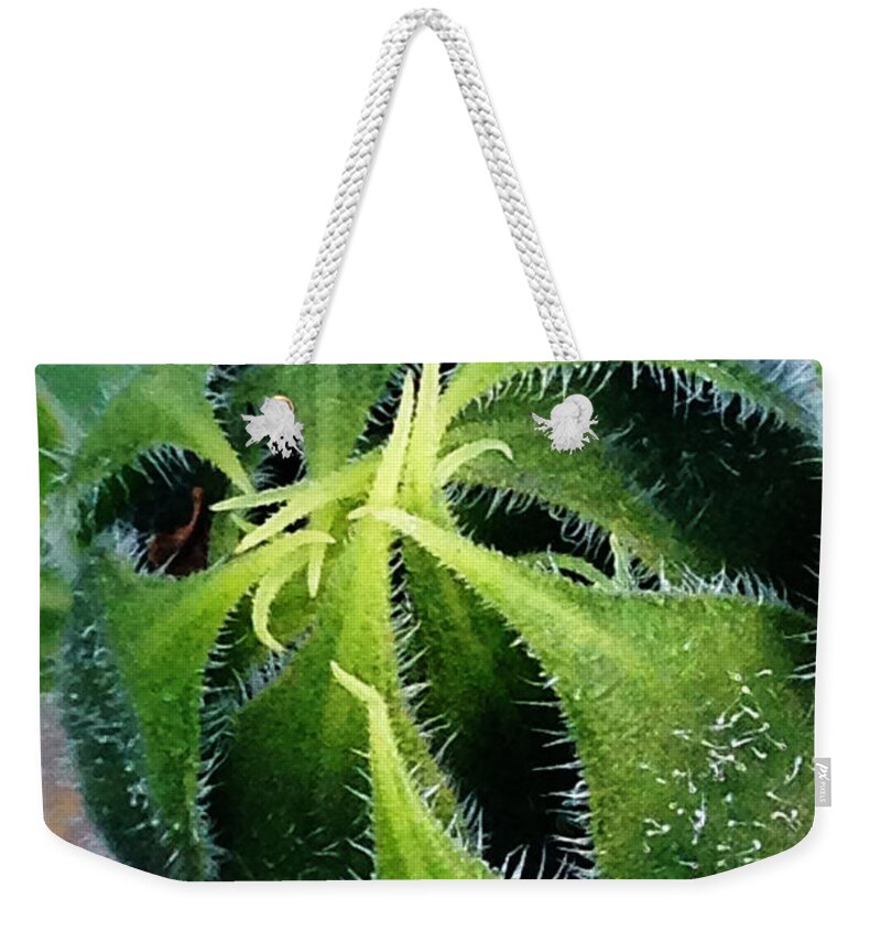 Photography Weekender Tote Bag featuring the digital art Preparing to Bloom by Jeff Iverson