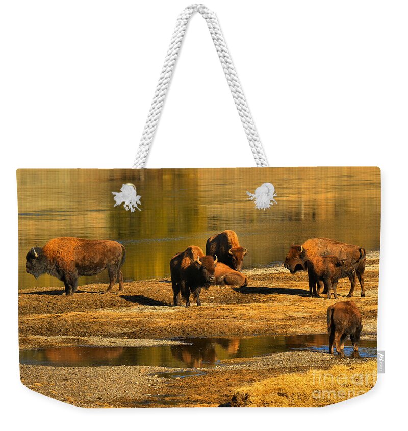 Bison Weekender Tote Bag featuring the photograph Preparing To Cross The Yellowstone River by Adam Jewell