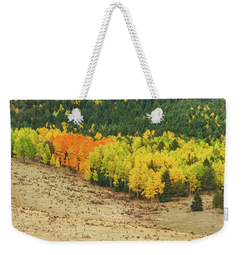 Fall Colors Weekender Tote Bag featuring the photograph Preserving Our Natural Heritage, The Fulcrum Of Our Community by Bijan Pirnia