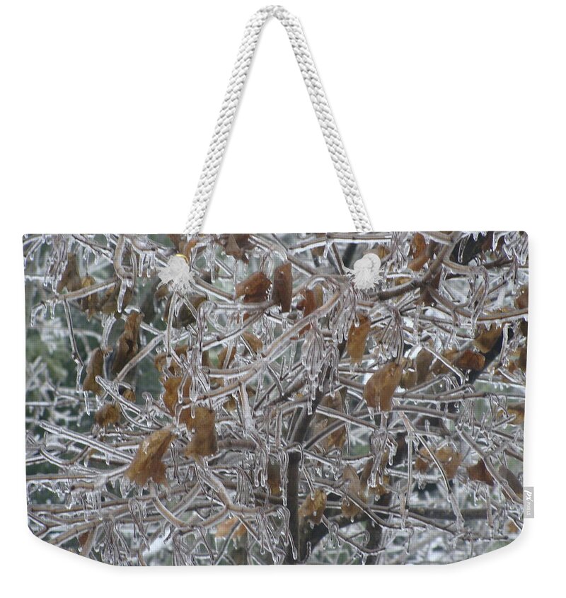 Frozen Weekender Tote Bag featuring the photograph Pretty as Glass by Stacie Siemsen