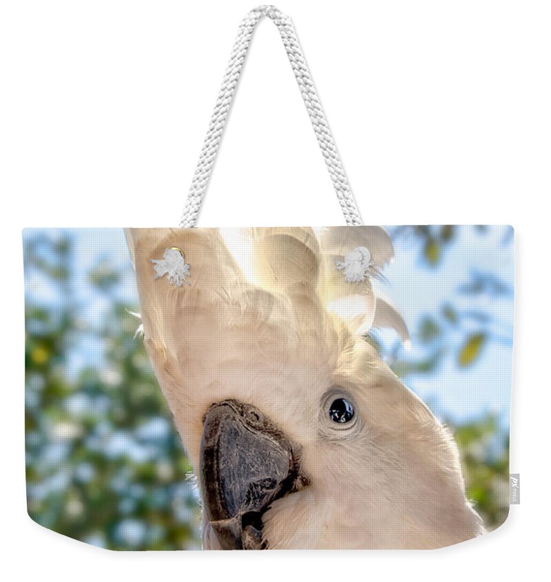 Ocular Perceptions Weekender Tote Bag featuring the photograph Pretty Boy by Christopher Holmes