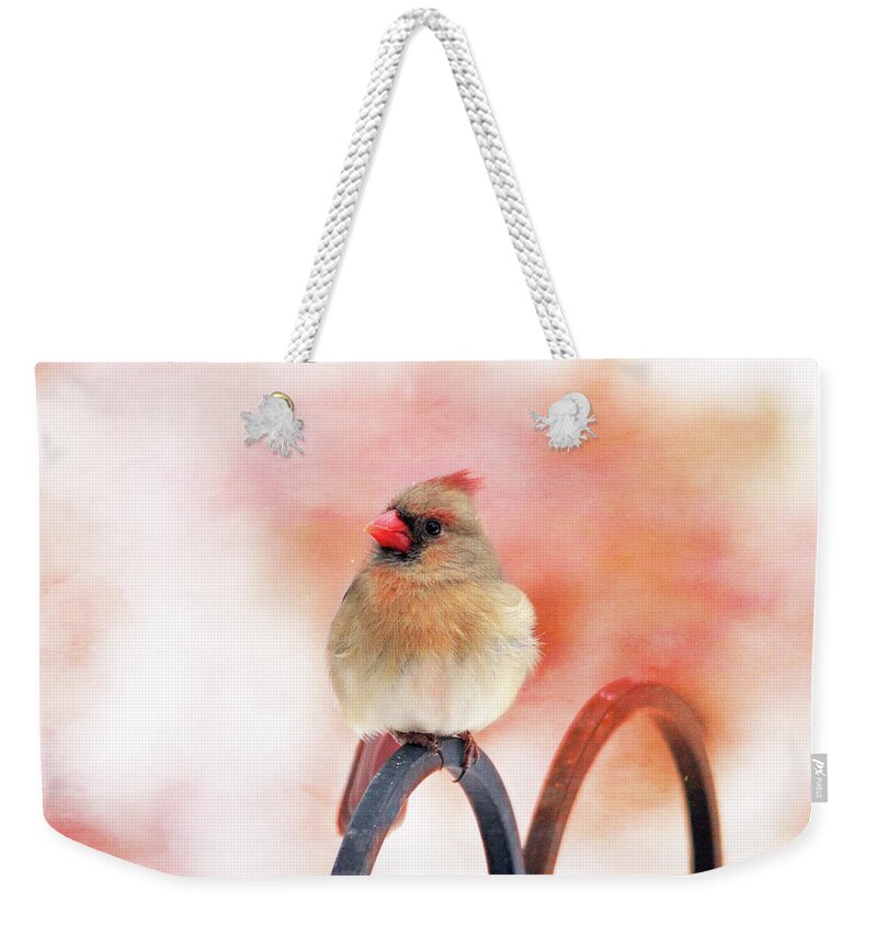 Birds Weekender Tote Bag featuring the photograph Pretty Cardinal by Trina Ansel